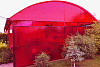 Поликарбонат сотовый Стандарт 2100х6000х8 мм, гранат купить в СОМ
