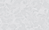 Обои виниловые на флизелиновой основе 61029-04 Erismann Дюпон, 1.06 х 10.05 м . купить в СОМ